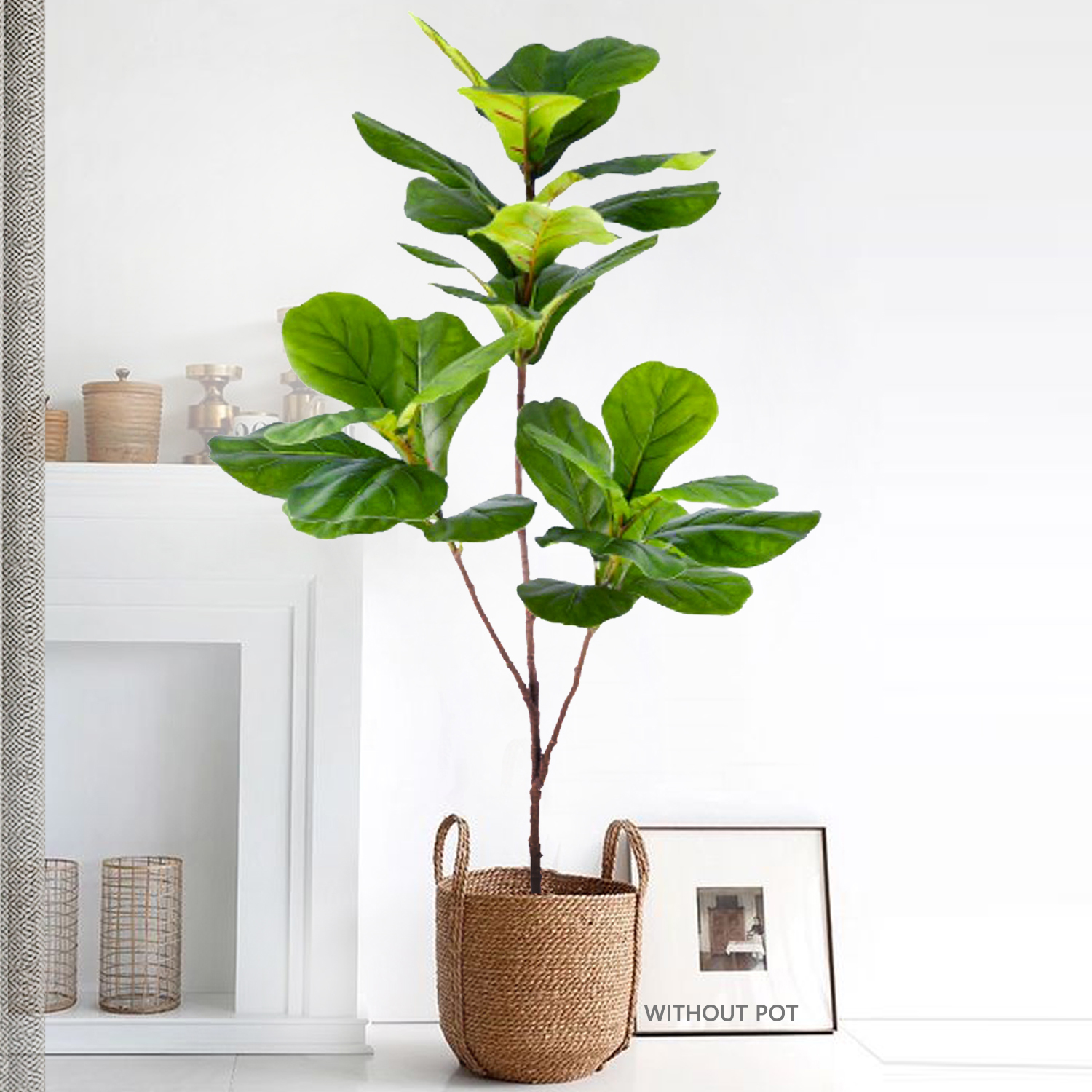 Dracaena Marginata - 76-135cm Artificial Ficus Tree Moraceae Plants