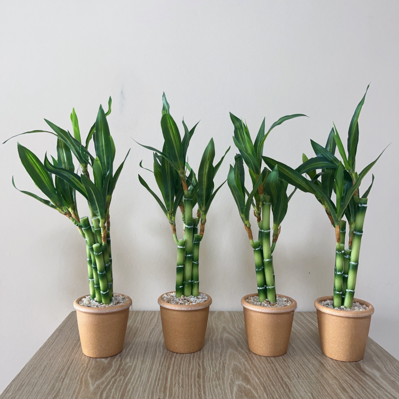 Dracaena Marginata - Artificial Lucky Bamboo Plant Green Potted
