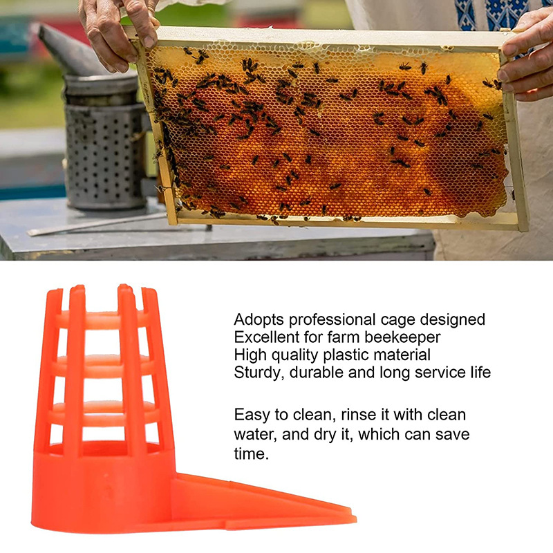 20 PcsKing Cells Plastic Bee Q - Begonia Rex avaliação e preço