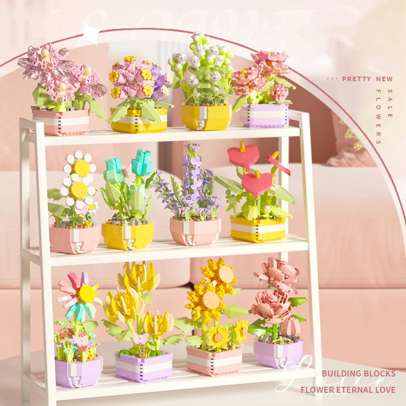 Flower Succulents Building Blo - Echeveria Succulent avaliação e preço