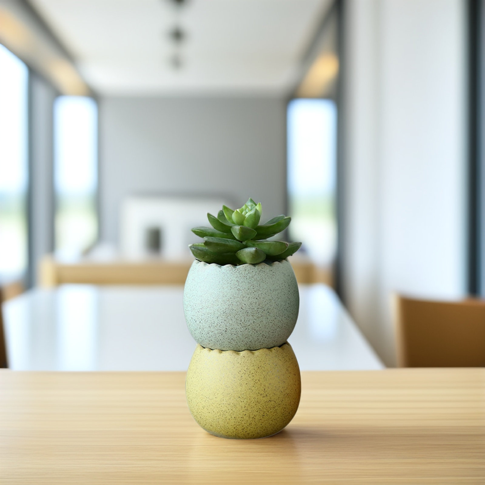 6Pcs Stylish Ceramic Mini Pots - Aloe Vera Pot avaliação e preço