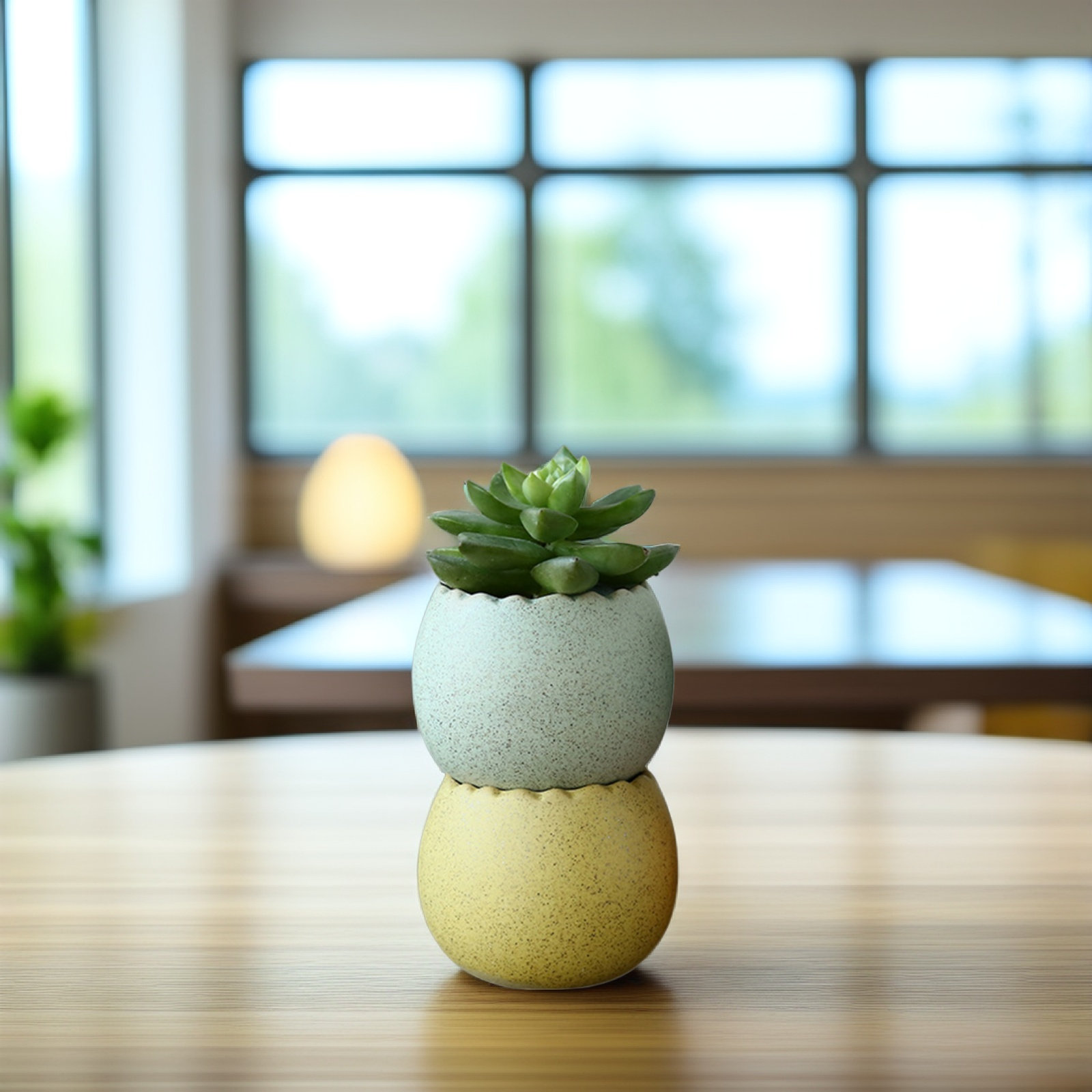 6Pcs Stylish Ceramic Mini Pots - Aloe Vera Pot avaliação e preço