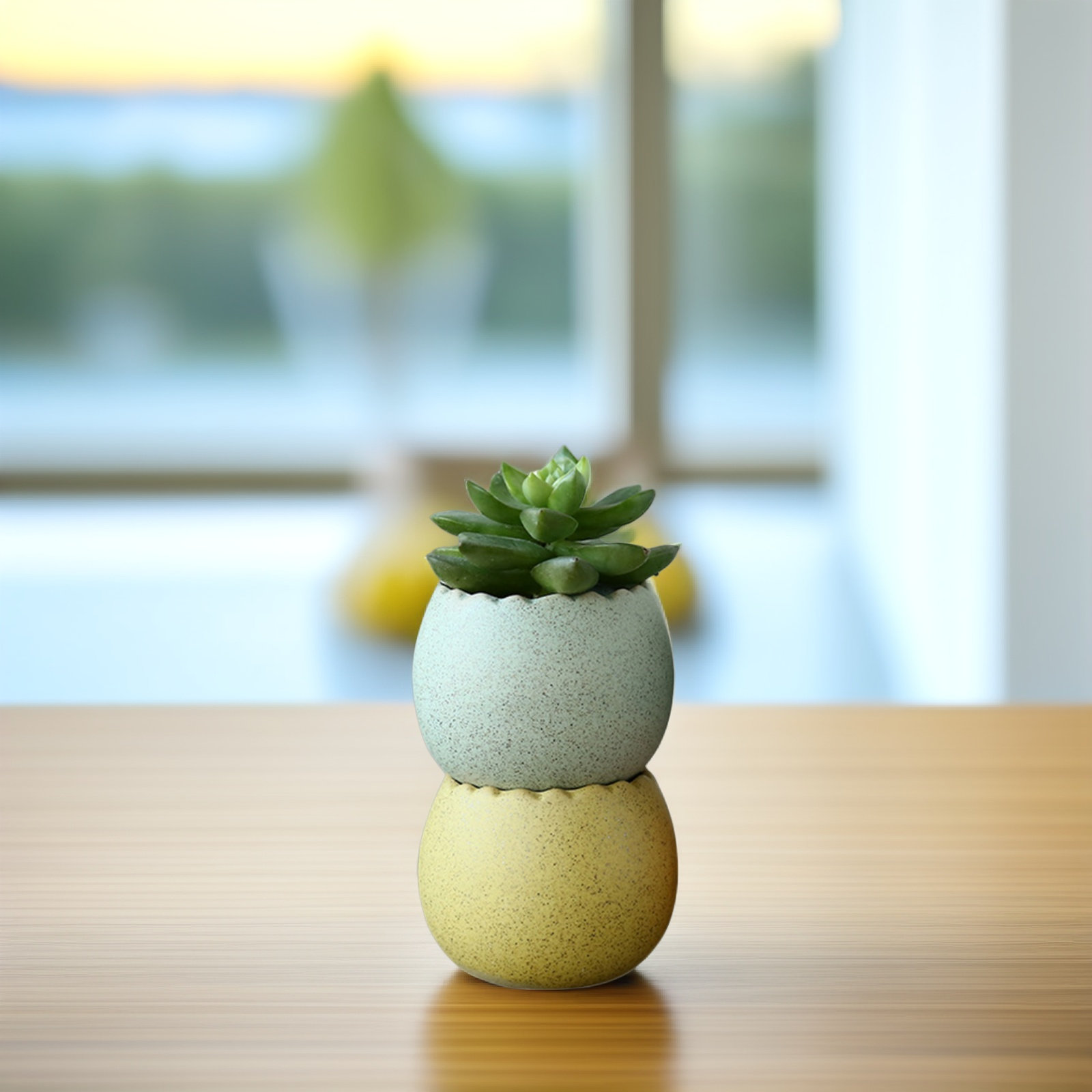 6Pcs Stylish Ceramic Mini Pots - Aloe Vera Pot avaliação e preço