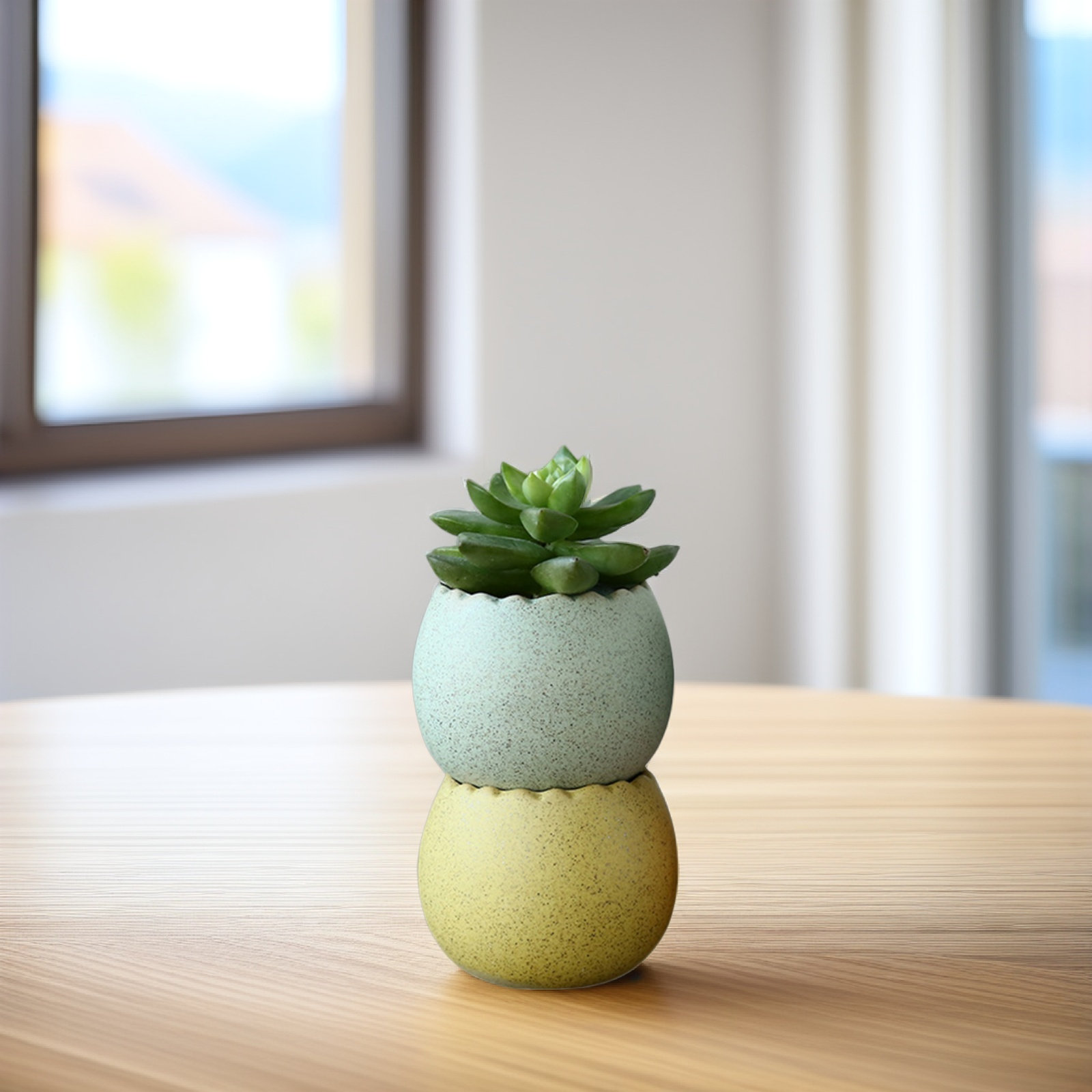 6Pcs Stylish Ceramic Mini Pots - Aloe Vera Pot avaliação e preço
