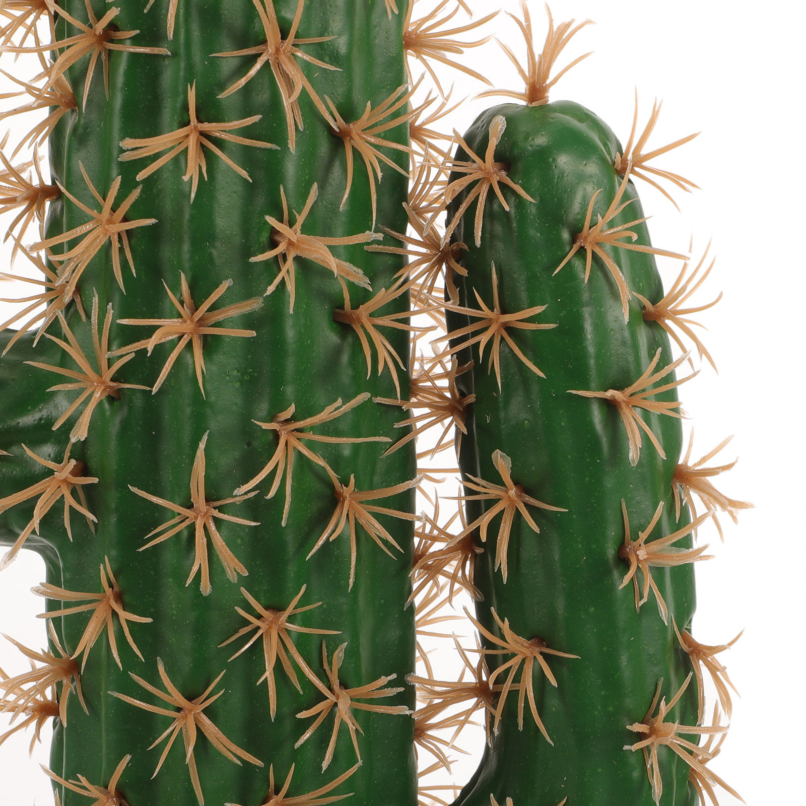 Lifelike Artificial Cactus Pla - Echeveria Succulent avaliação e preço