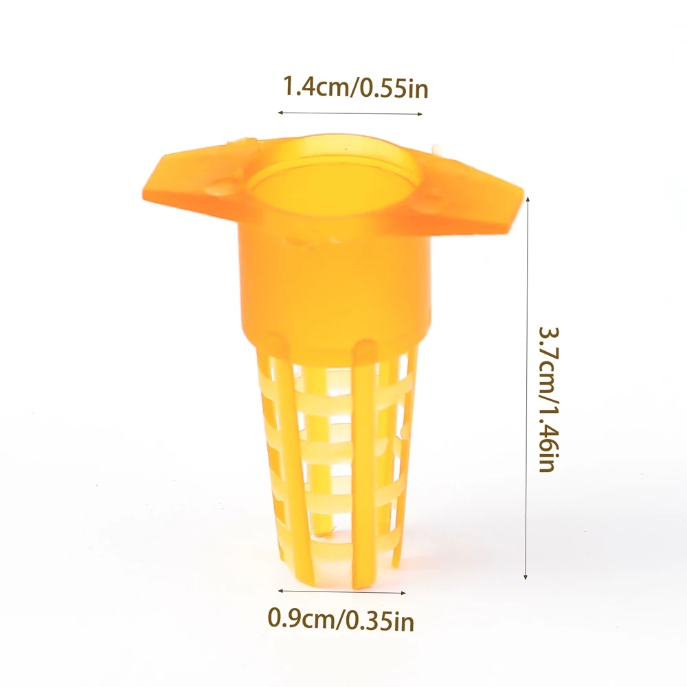 50 Pcs King Cells Plastic Bee  - Begonia Rex avaliação e preço