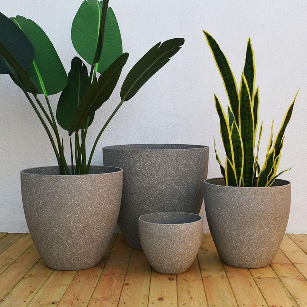 Frosted Imitation Stone Bonsai - Aloe Vera Pot avaliação e preço