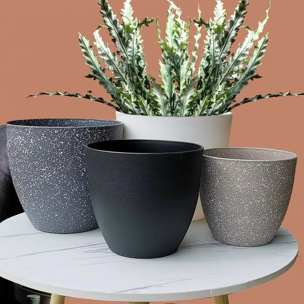 Frosted Imitation Stone Bonsai - Aloe Vera Pot avaliação e preço