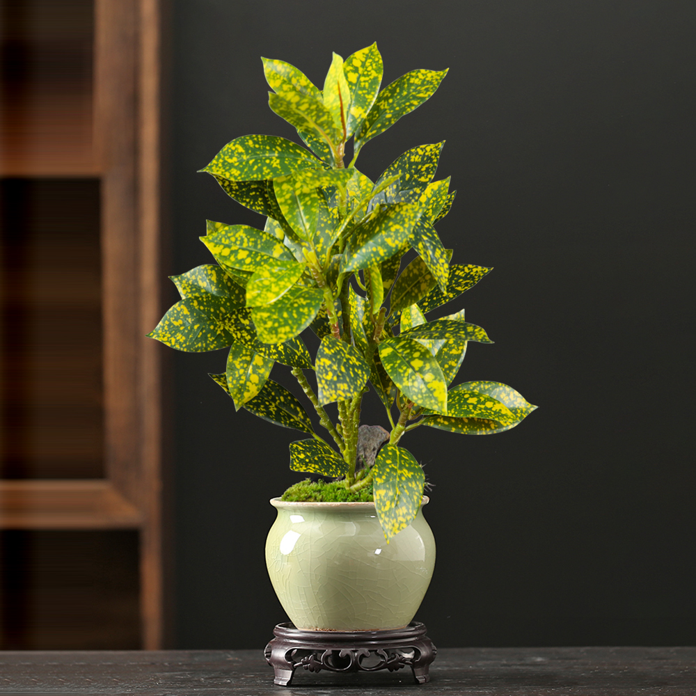 24-41cm Artificial Ficus Tree  - Ficus Lyrata Tree avaliação e preço