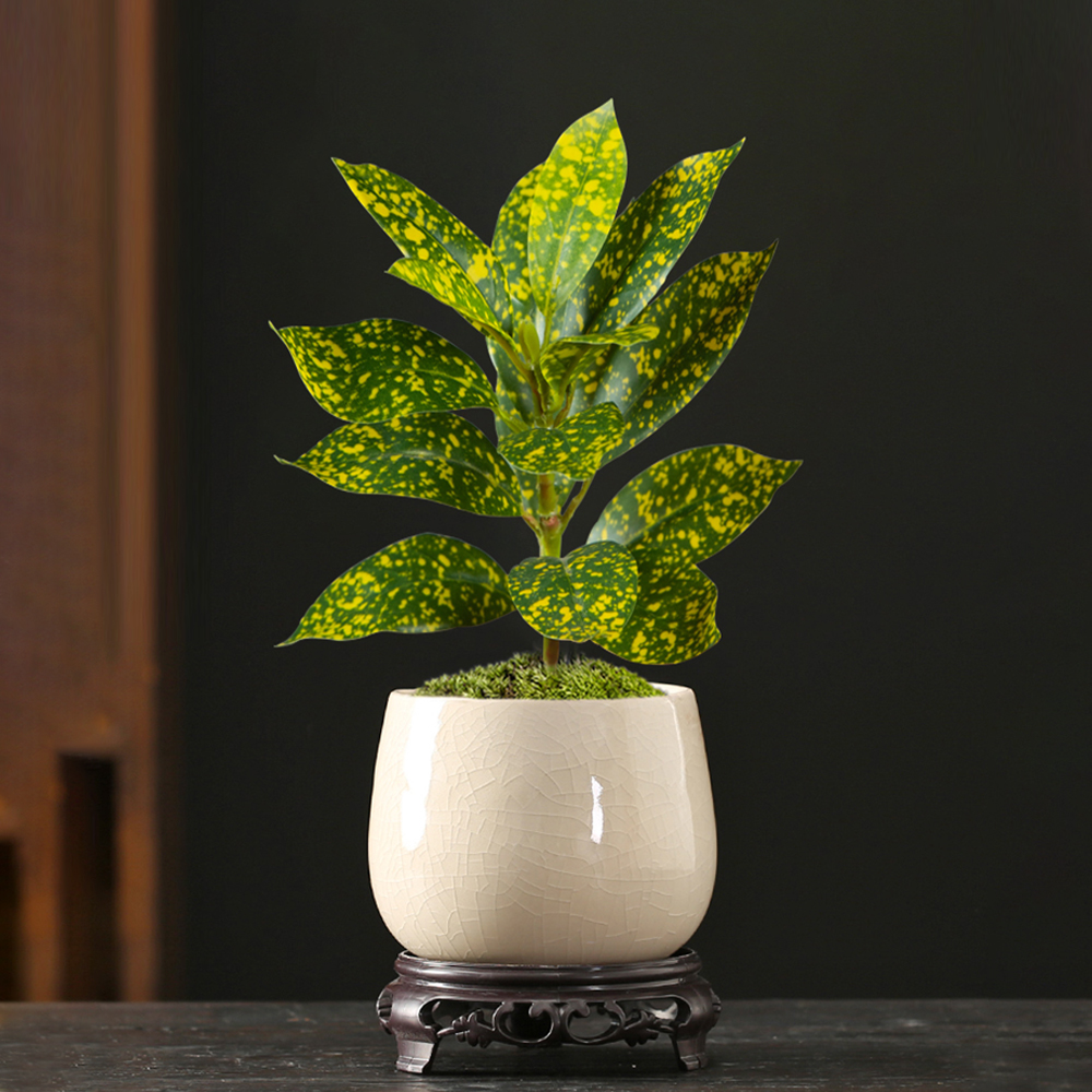 24-41cm Artificial Ficus Tree  - Ficus Lyrata Tree avaliação e preço