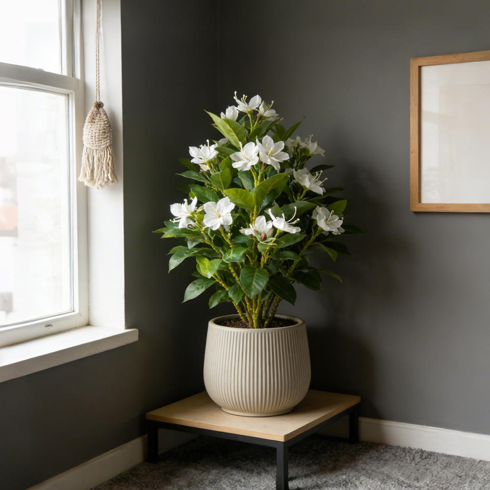 21-40cm Artificial Azalea Flow - Ficus Lyrata Tree avaliação e preço