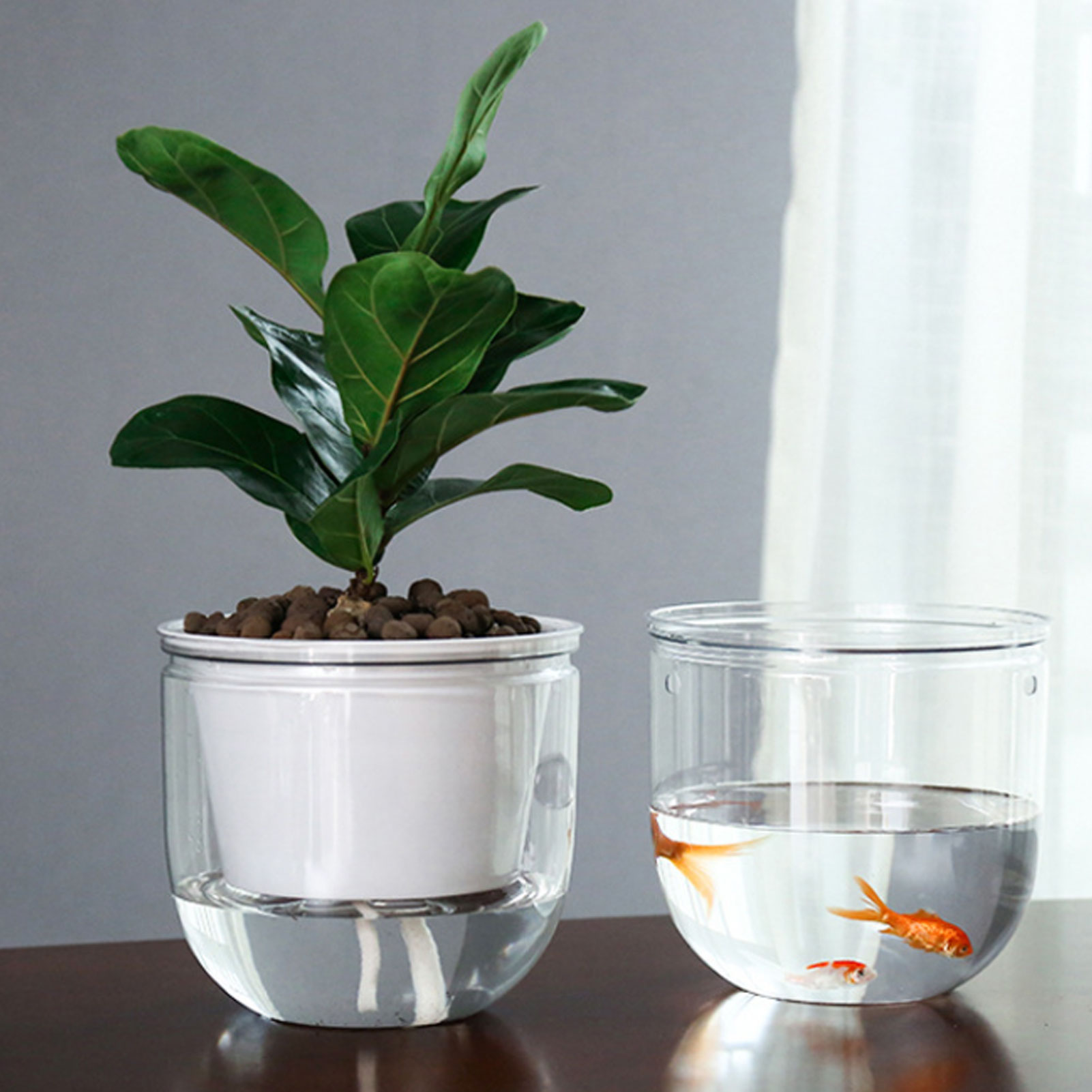 Automatic Self Watering Plant  - Spider Plant Hanging avaliação e preço