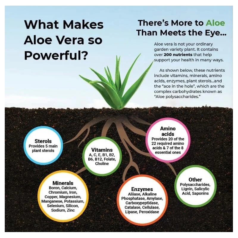 Aloe Vera Capsules - Help Prom - Aloe Vera Pot avaliação e preço