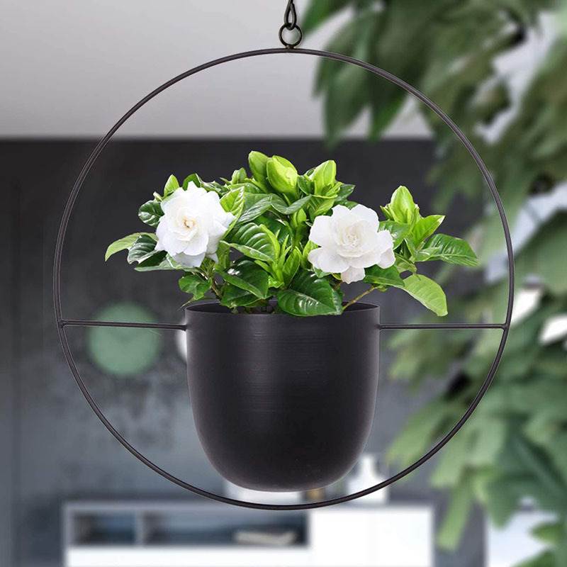 Hanging Iron Art Plant Pots Ba - Spider Plant Hanging avaliação e preço