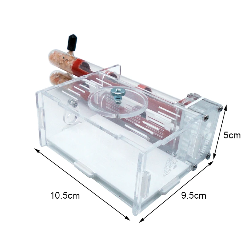 DIY Ant Farm 2 pcs 18-180mm Gy - Begonia Rex avaliação e preço