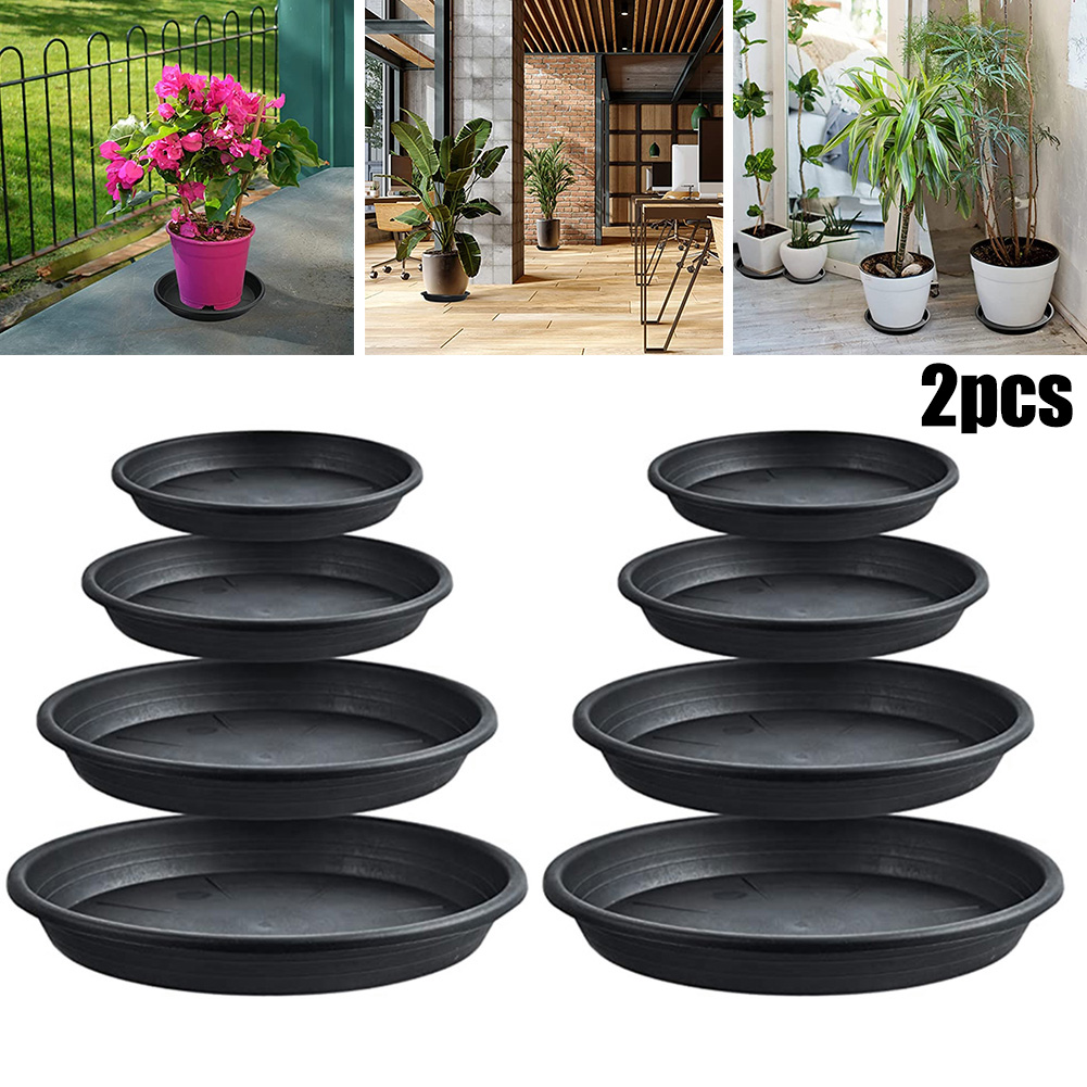 2pcs Plant Trays Round Succule - Echeveria Succulent avaliação e preço