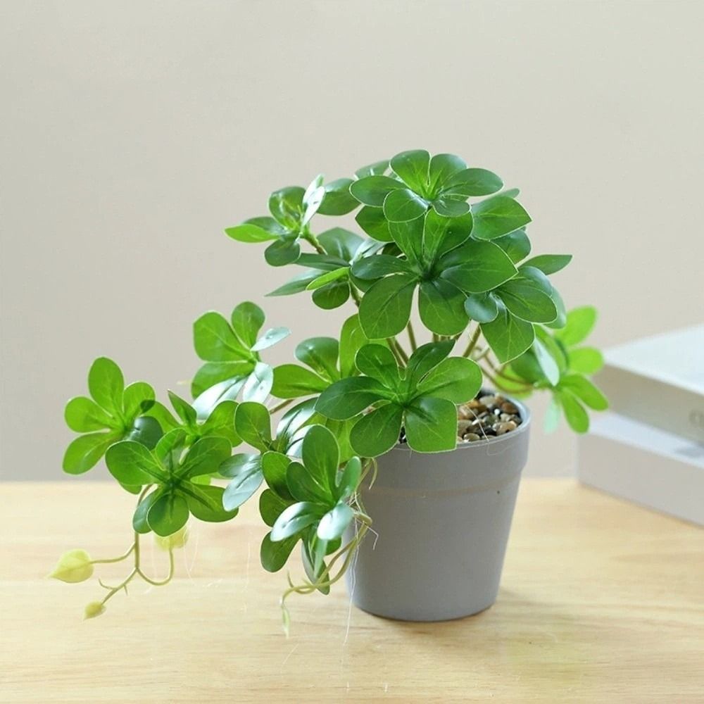 Bonsai Artificial Bonsai Plant - Spider Plant Hanging avaliação e preço