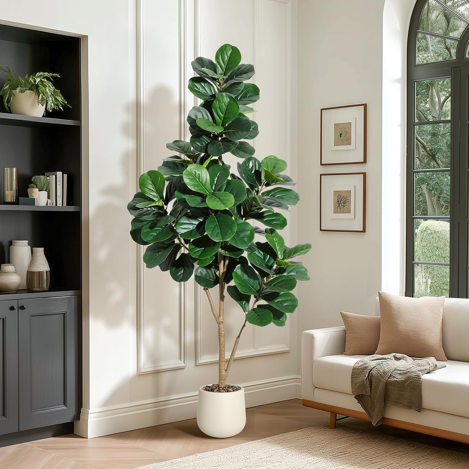 4-7 FT Fiddle Leaf Fig Tree Ar - Ficus Lyrata Tree avaliação e preço