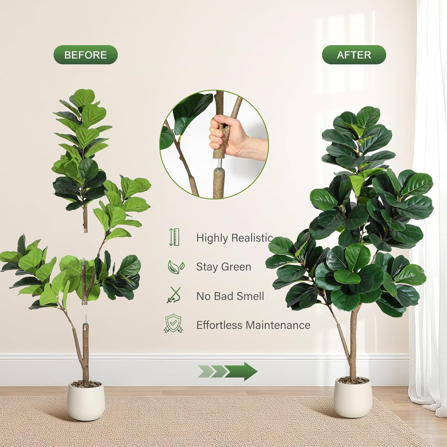4-7 FT Fiddle Leaf Fig Tree Ar - Ficus Lyrata Tree avaliação e preço