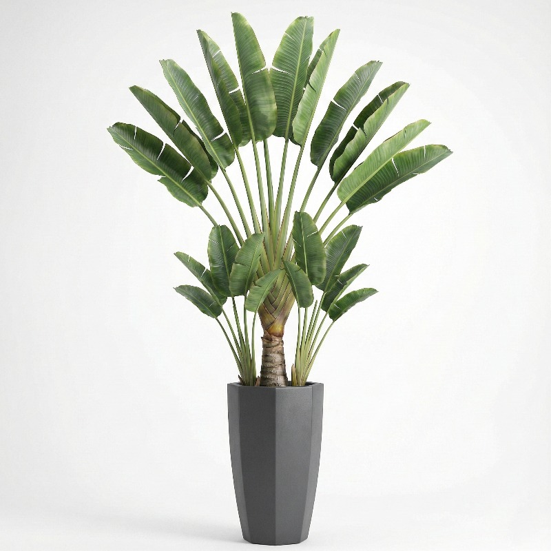 High-Simulation Plastic Fiddle - Ficus Lyrata Tree avaliação e preço