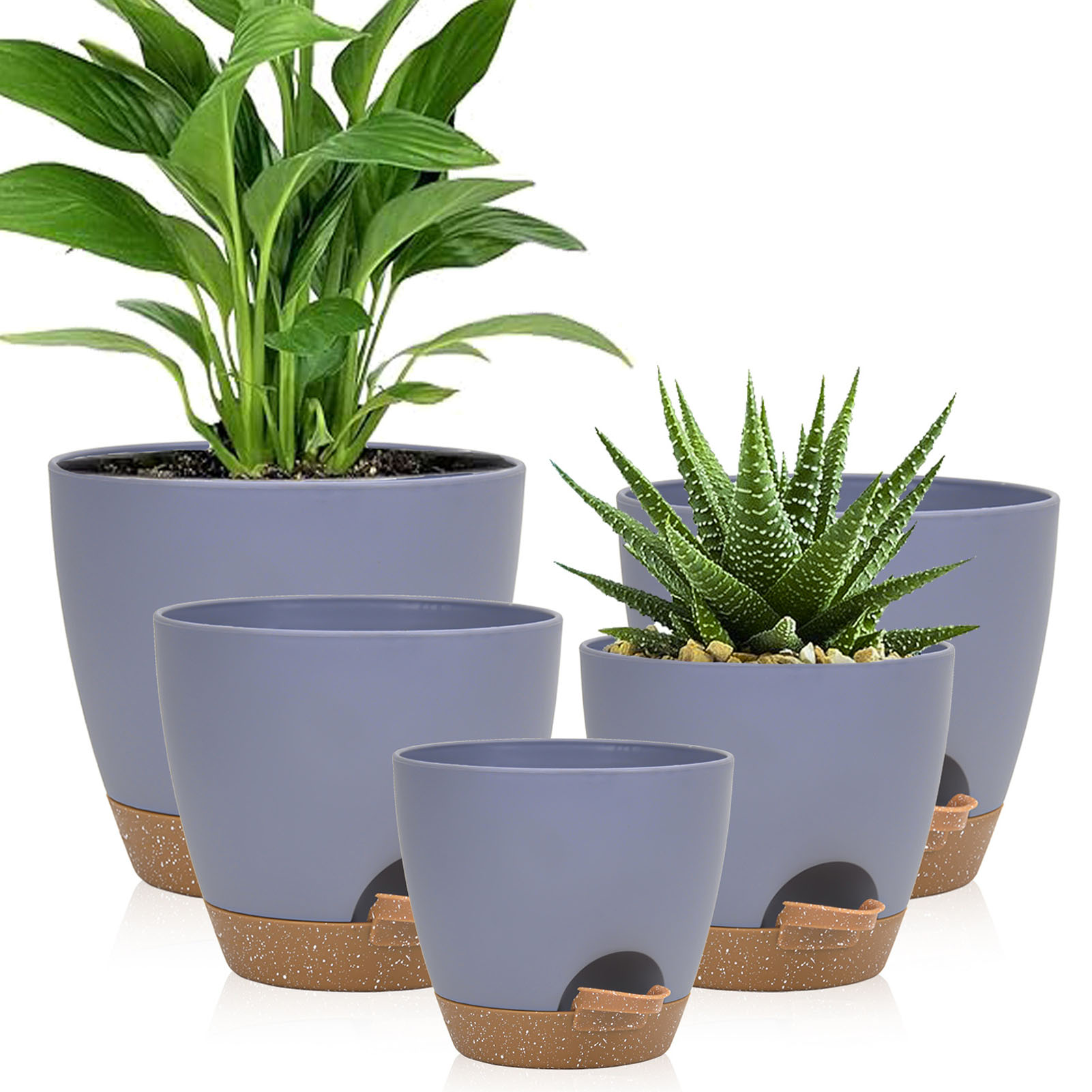 5piece Indoor Flower Pots With - Aloe Vera Pot avaliação e preço
