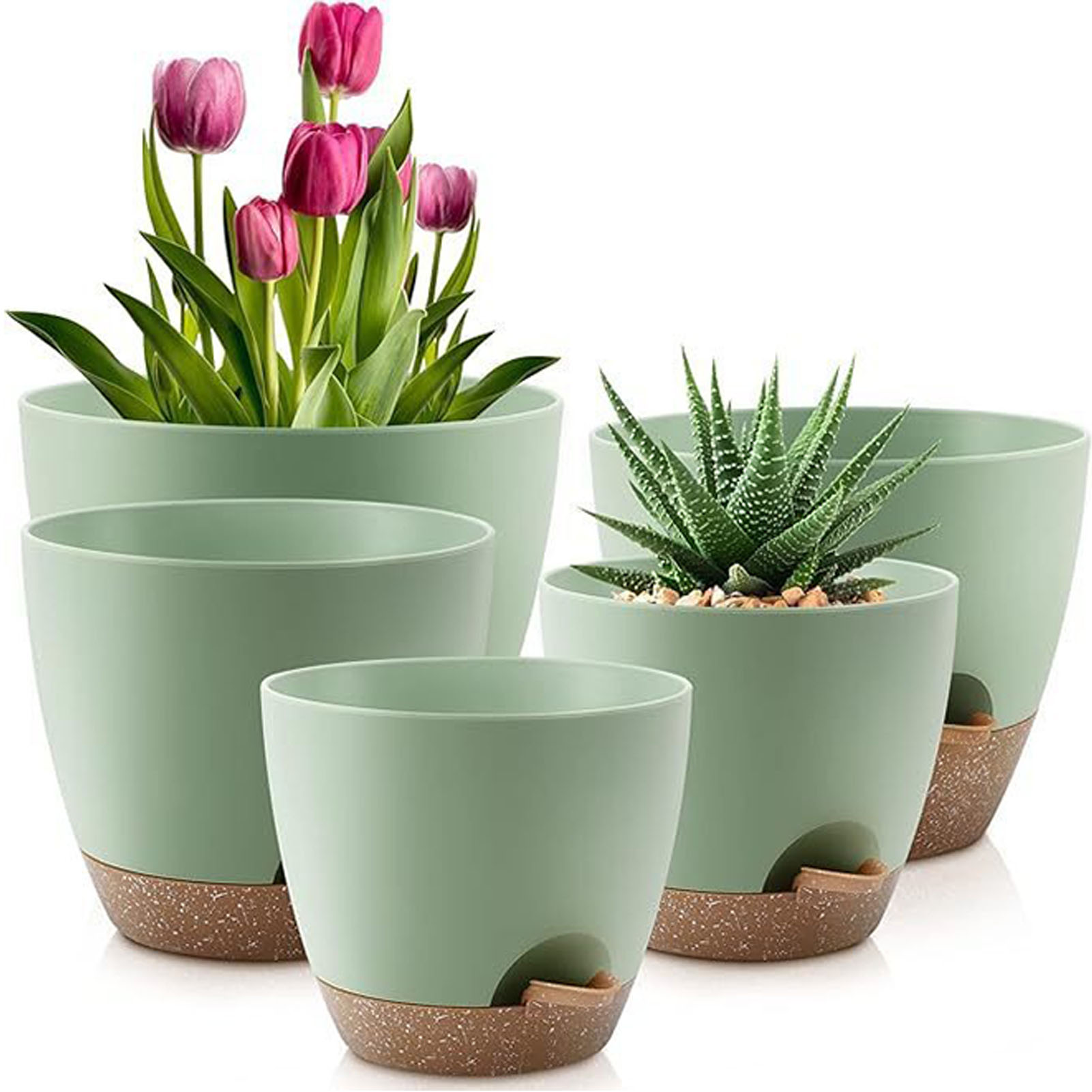 5piece Indoor Flower Pots With - Aloe Vera Pot avaliação e preço