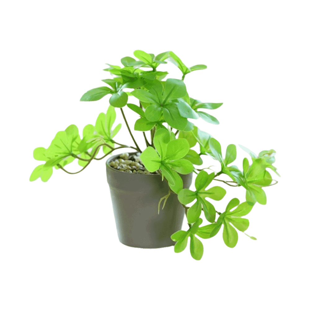 Bonsai Artificial Bonsai Plant - Spider Plant Hanging avaliação e preço