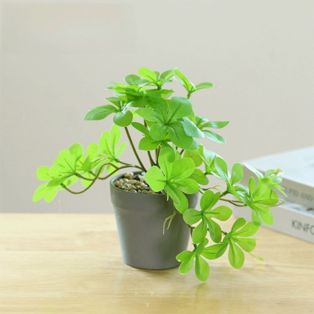 Bonsai Artificial Bonsai Plant - Spider Plant Hanging avaliação e preço