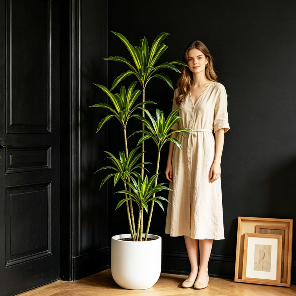 80-165cm Large Artifcial Draca - Dracaena Marginata avaliação e preço