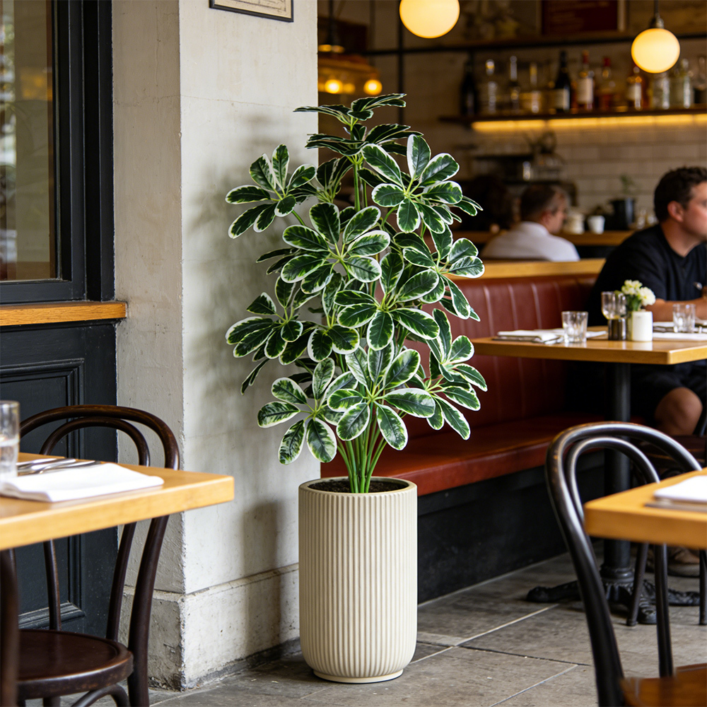 50-75cm Artifficial Maranta Pl - Dracaena Marginata avaliação e preço