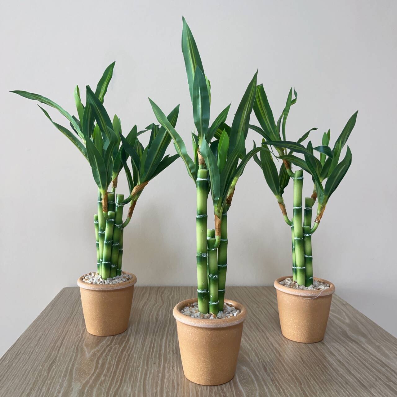 Artificial Lucky Bamboo Plant  - Dracaena Marginata avaliação e preço