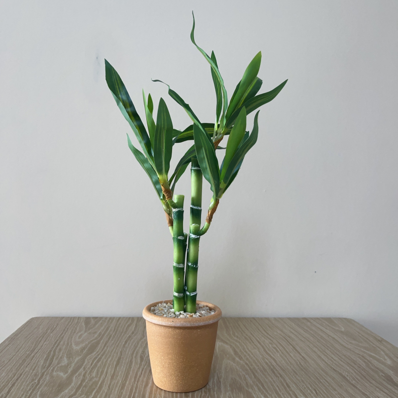 Artificial Lucky Bamboo Plant  - Dracaena Marginata avaliação e preço