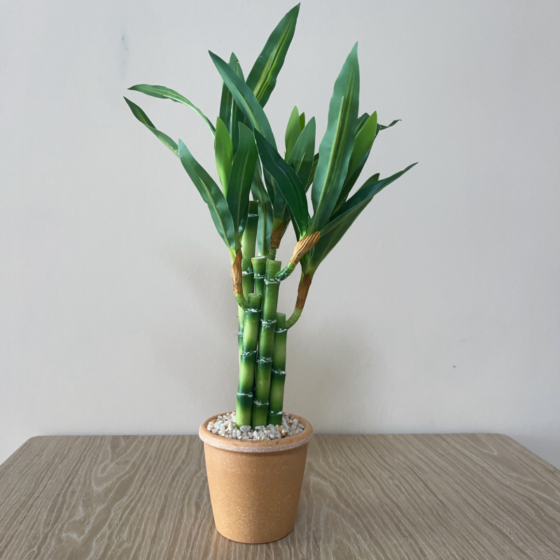 Artificial Lucky Bamboo Plant  - Dracaena Marginata avaliação e preço