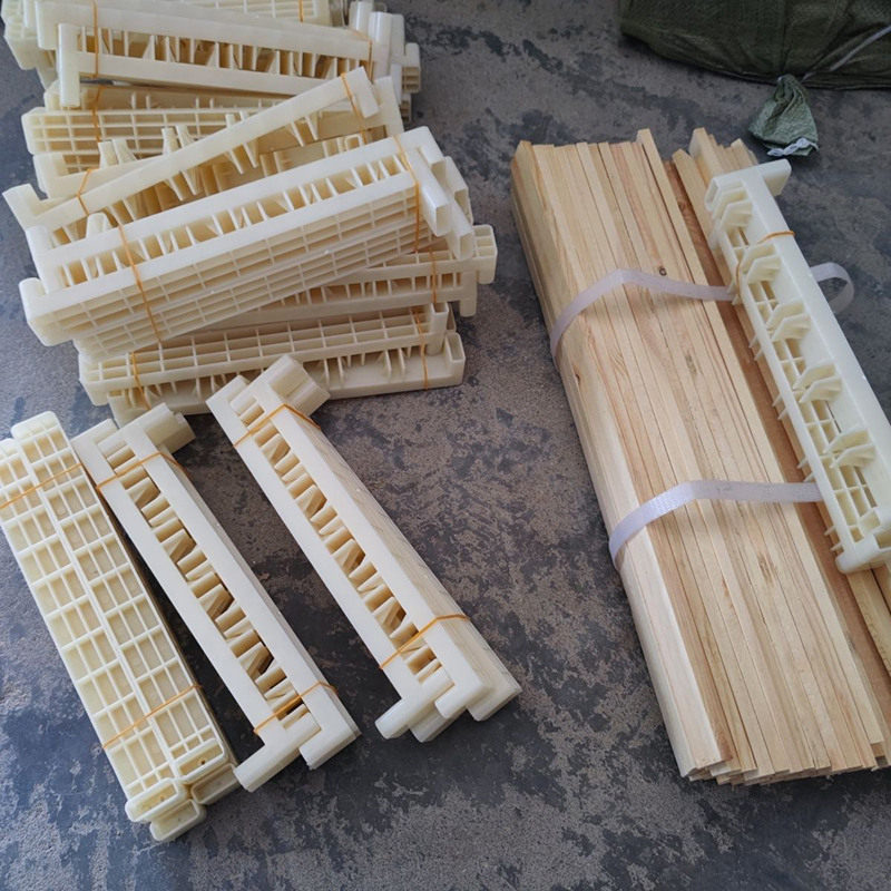 Bee Breeding Frames Plastic Ch - Begonia Rex avaliação e preço