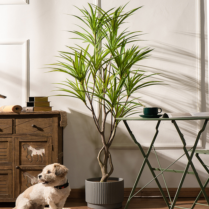 90-180cm Large Artificial Tree - Dracaena Marginata avaliação e preço