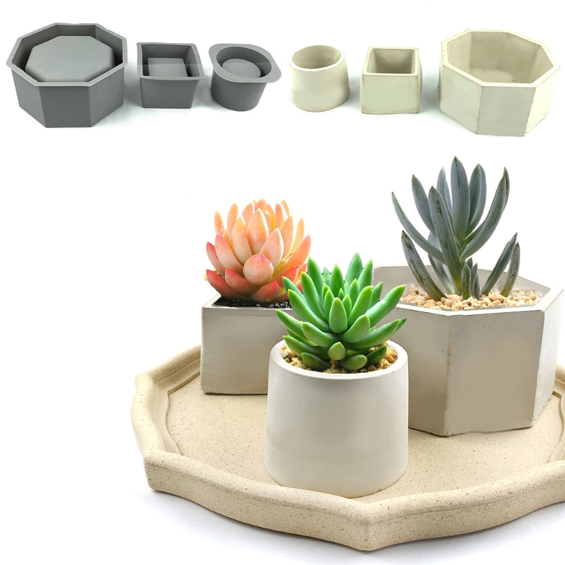 Handmade Succulent Planter Flo - Echeveria Succulent avaliação e preço