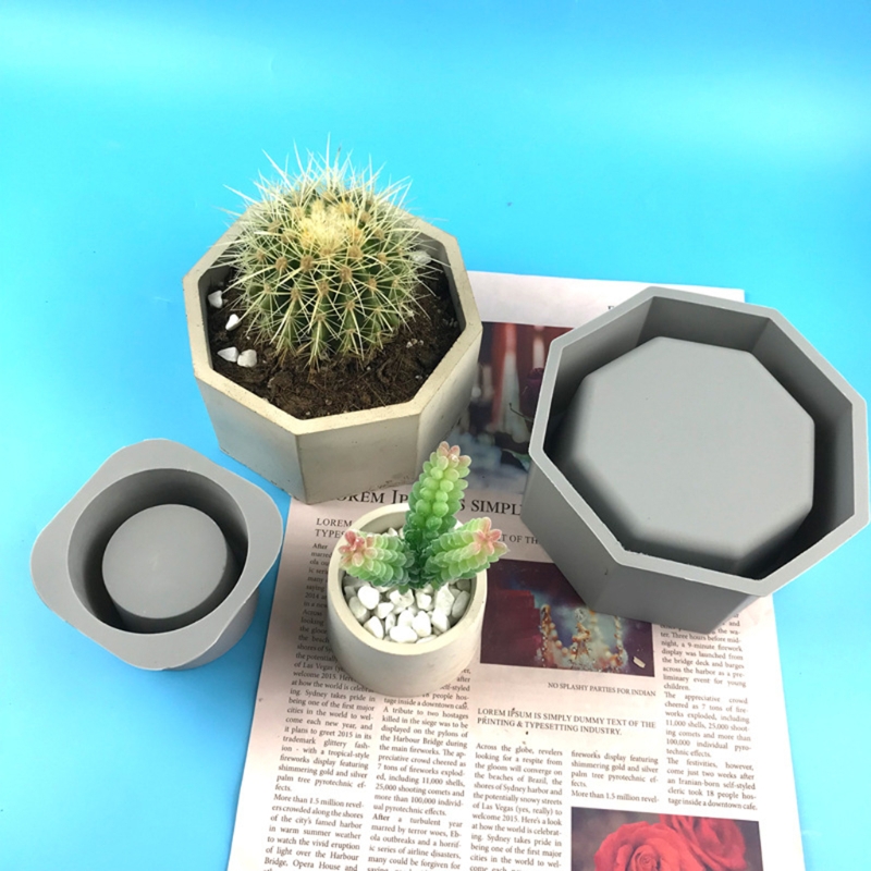 Handmade Succulent Planter Flo - Echeveria Succulent avaliação e preço