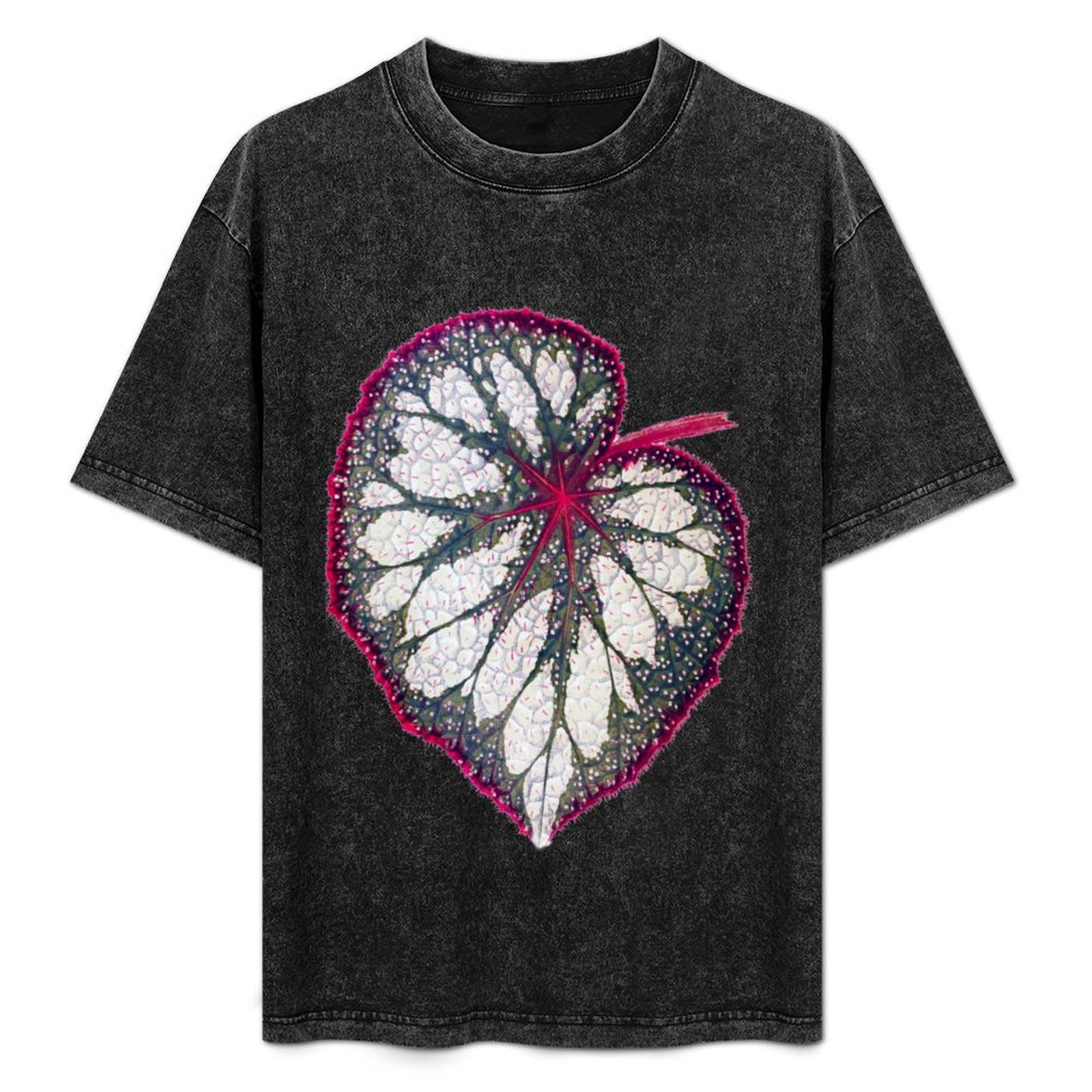 Begonia rex T-Shirt Holiday Si - Begonia Rex avaliação e preço