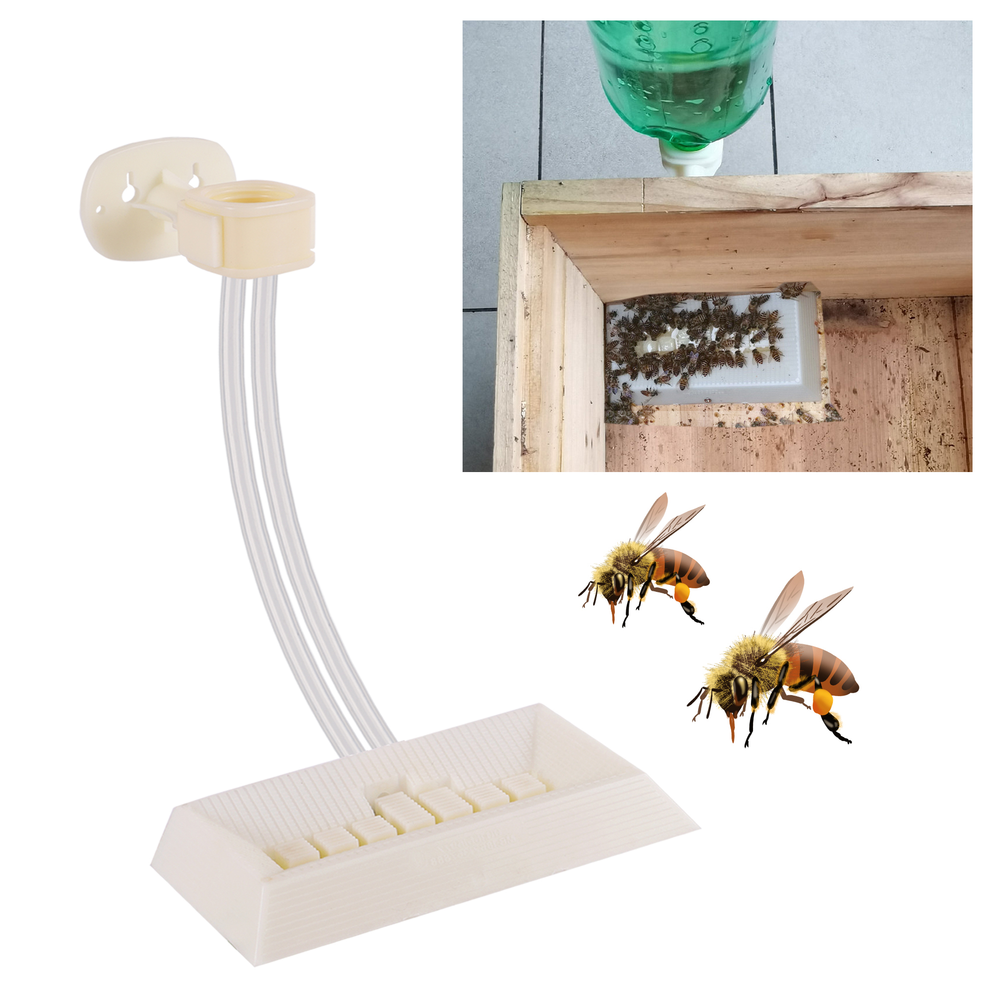 2Pcs Automatic Feeding Drinker - Begonia Rex avaliação e preço