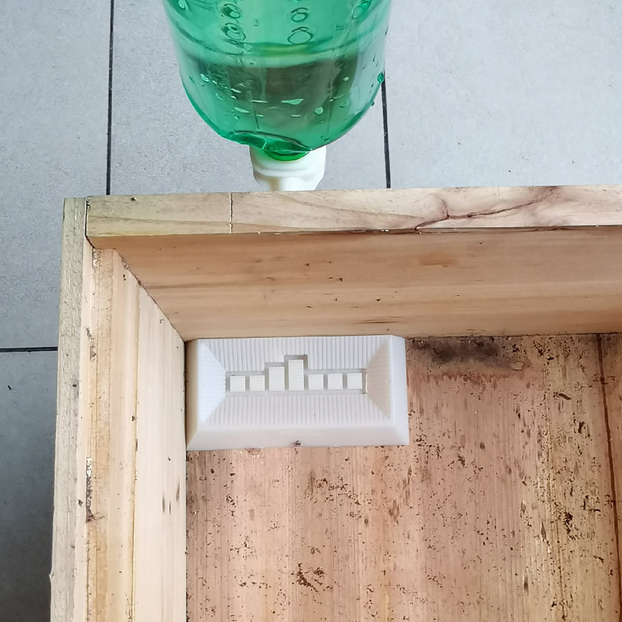 2Pcs Automatic Feeding Drinker - Begonia Rex avaliação e preço
