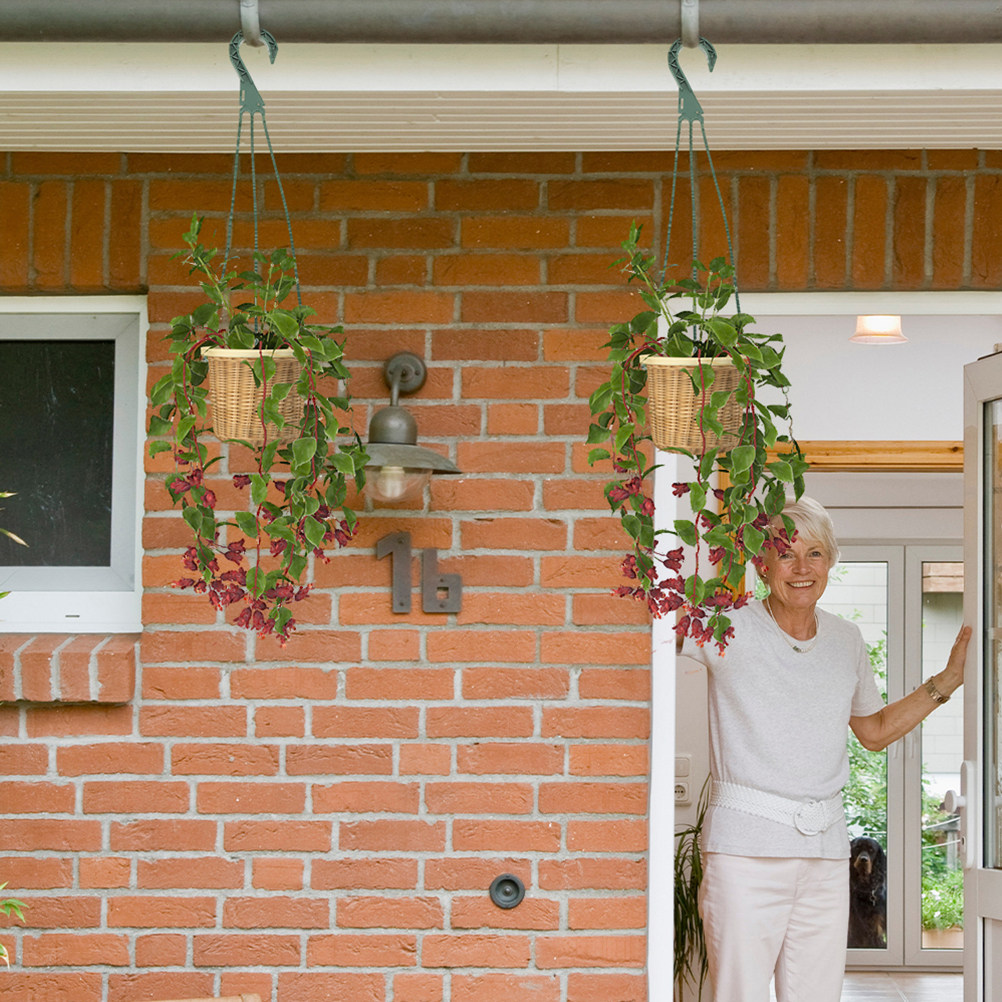 5Pcs Heavy Duty Hanging Basket - Spider Plant Hanging avaliação e preço