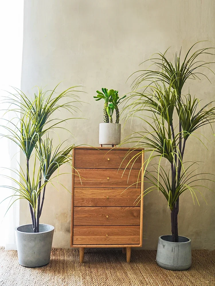 Simulation Plant Dracaena Marg - Dracaena Marginata avaliação e preço