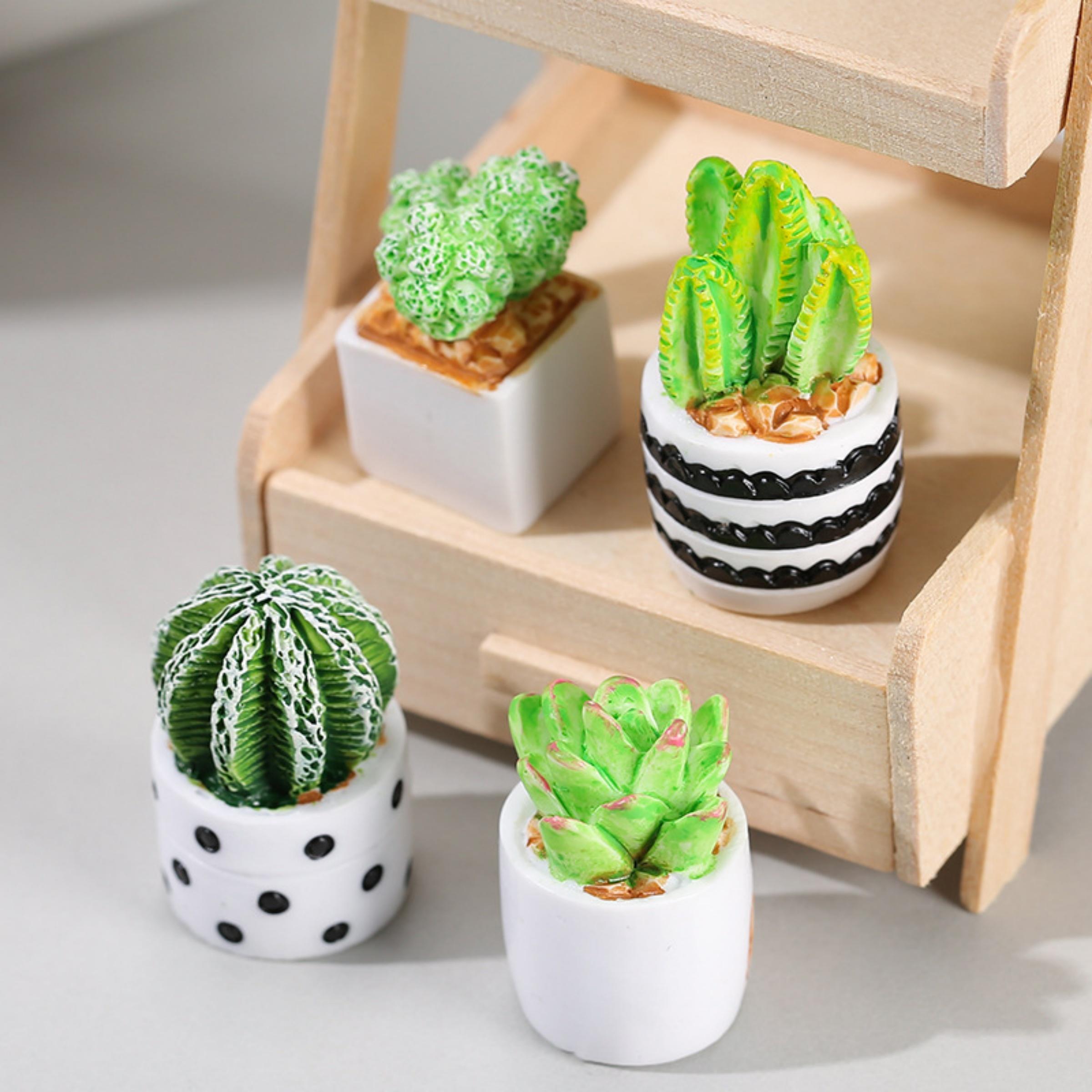 4-Piece Set of Cactus Succulen - Echeveria Succulent avaliação e preço