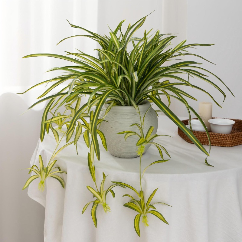Artificial Spider Plant Chloro - Spider Plant Hanging avaliação e preço