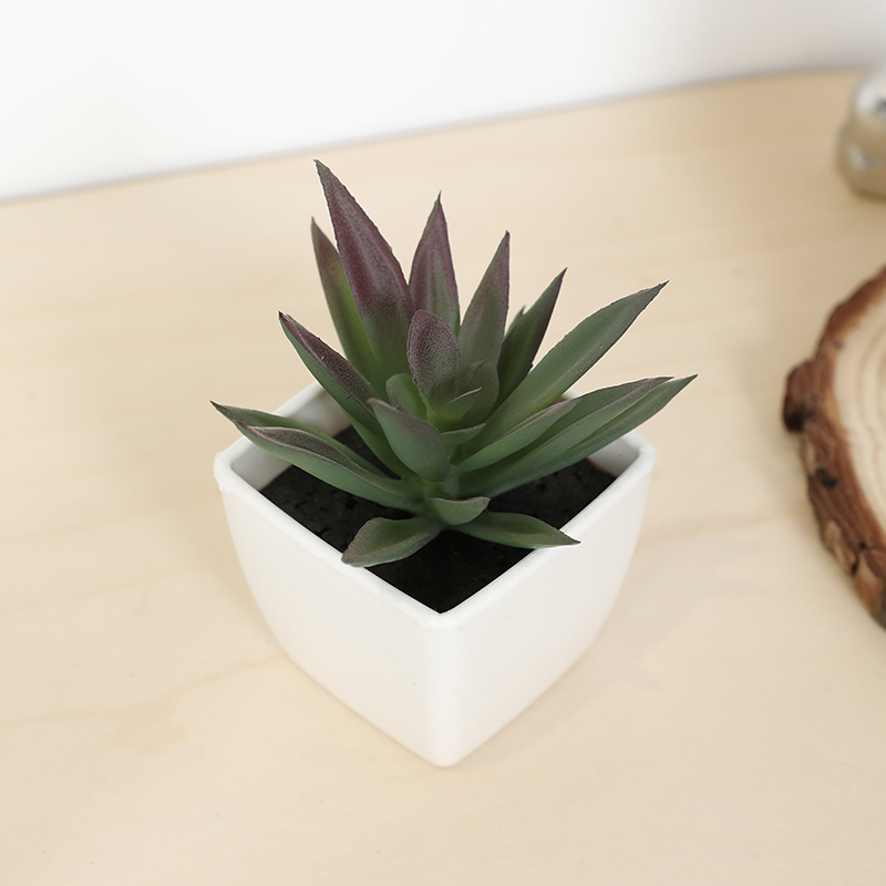 Mini Artificial Succulent Fair - Echeveria Succulent avaliação e preço