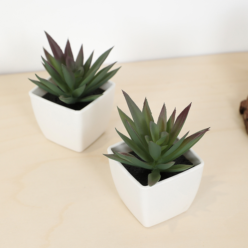Mini Artificial Succulent Fair - Echeveria Succulent avaliação e preço