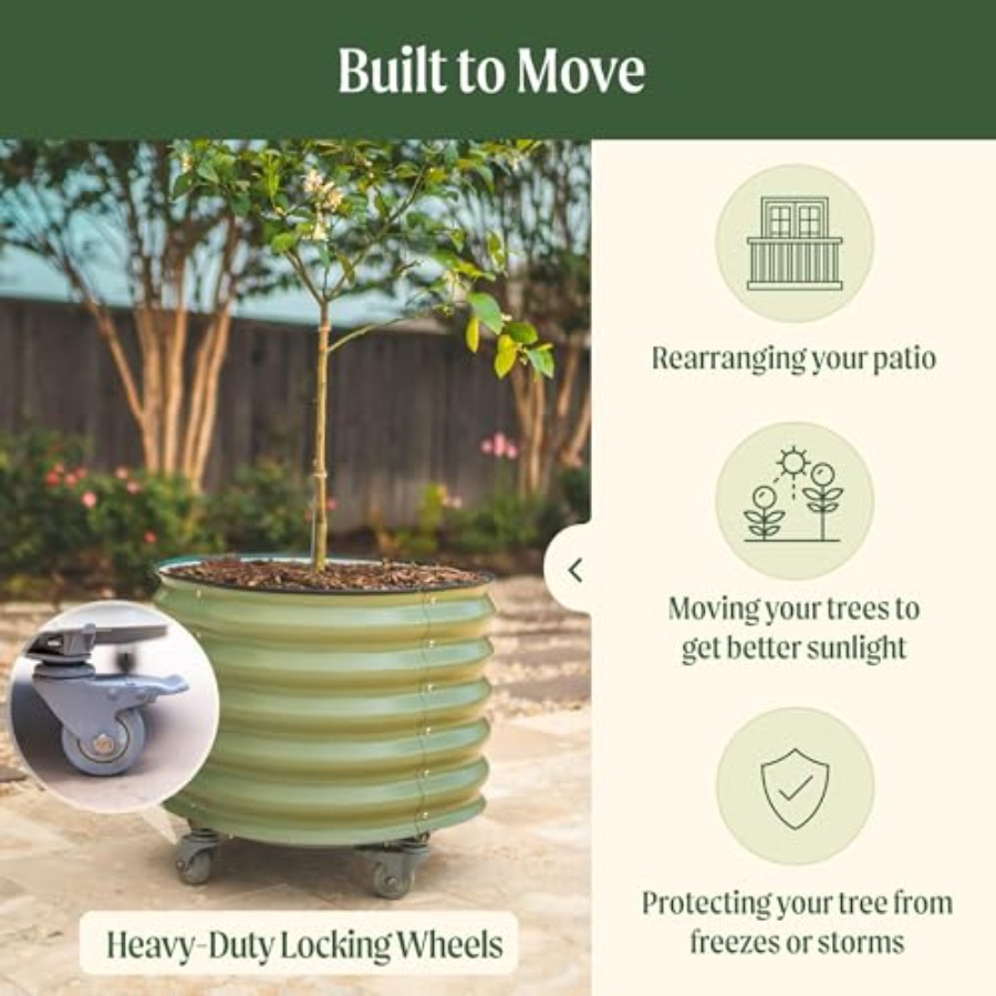 Self-Watering Rolling Metal Ci - Aloe Vera Pot avaliação e preço