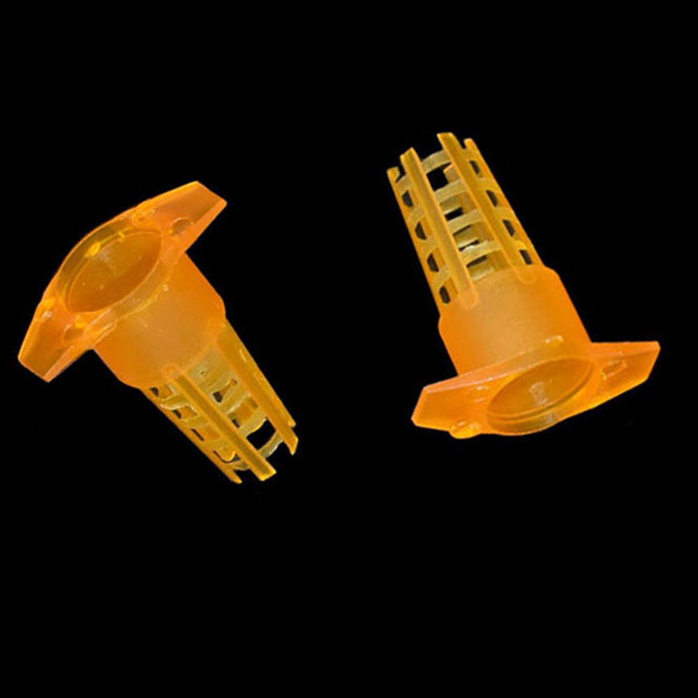 20 pcs Plastic Bee Queen Cage  - Begonia Rex avaliação e preço