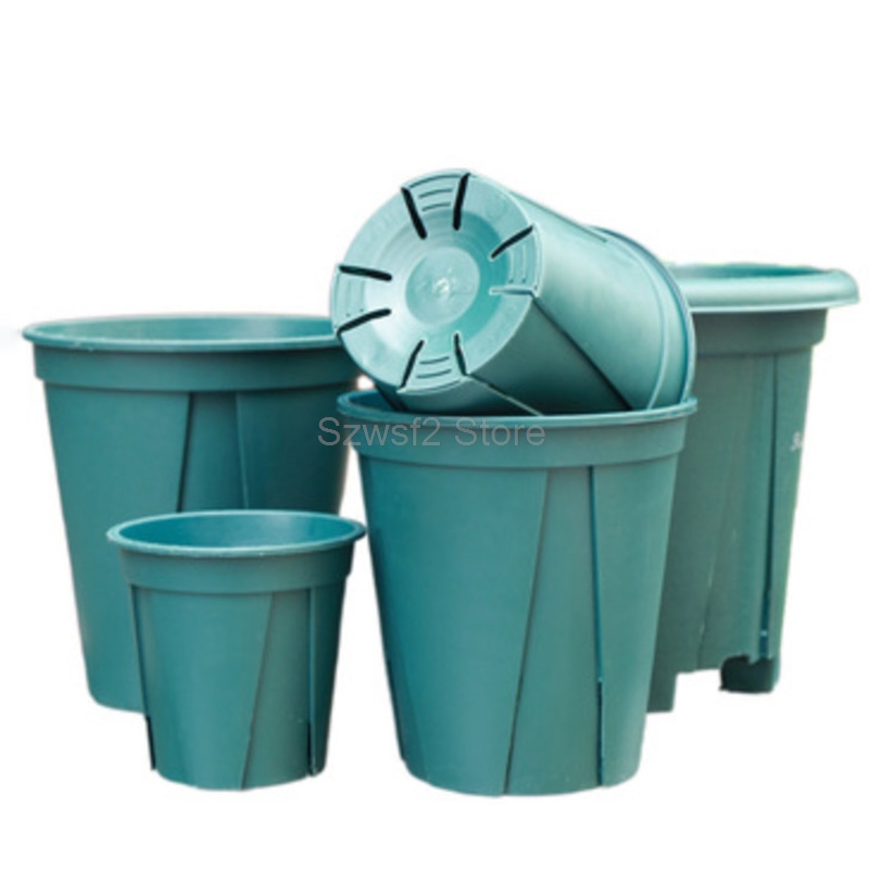 5/10pcs Green Plastic Plant Fl - Aloe Vera Pot avaliação e preço