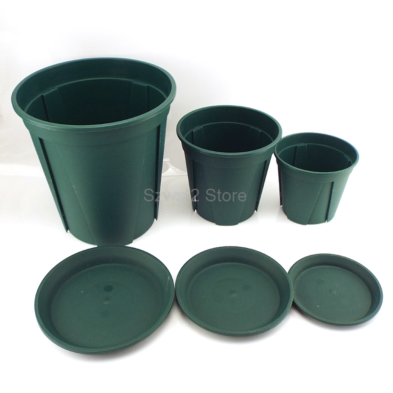 5/10pcs Green Plastic Plant Fl - Aloe Vera Pot avaliação e preço
